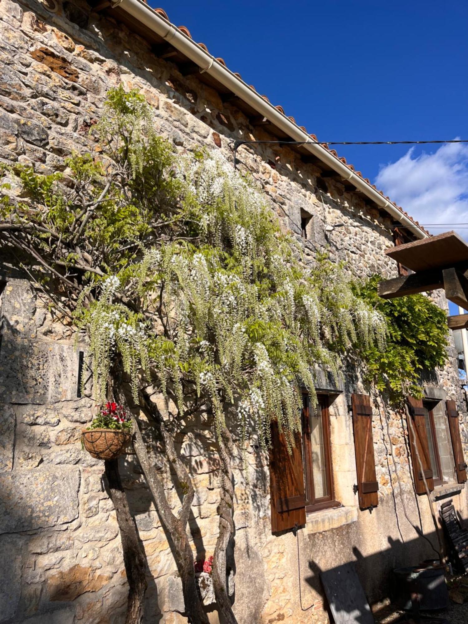 Le Plantier2 Villa Beaulieu-sur-Sonnette Dış mekan fotoğraf